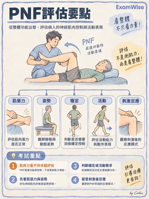 職治 - 神經動作與認知治療技術 - AI 圖文解析預覽