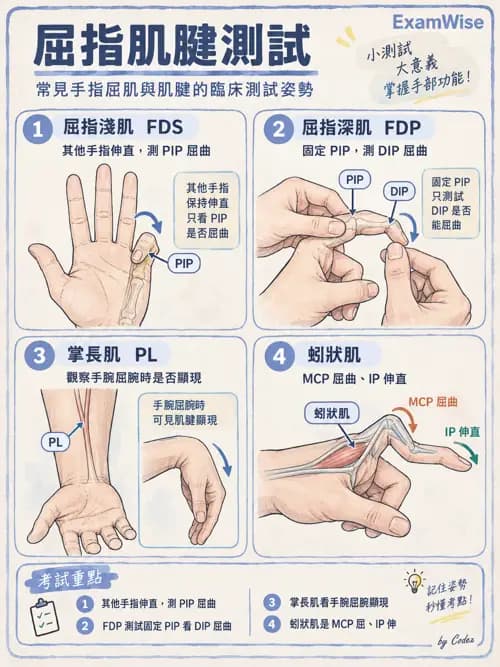 職治 - 評估方法與測量 - AI 圖文解析預覽