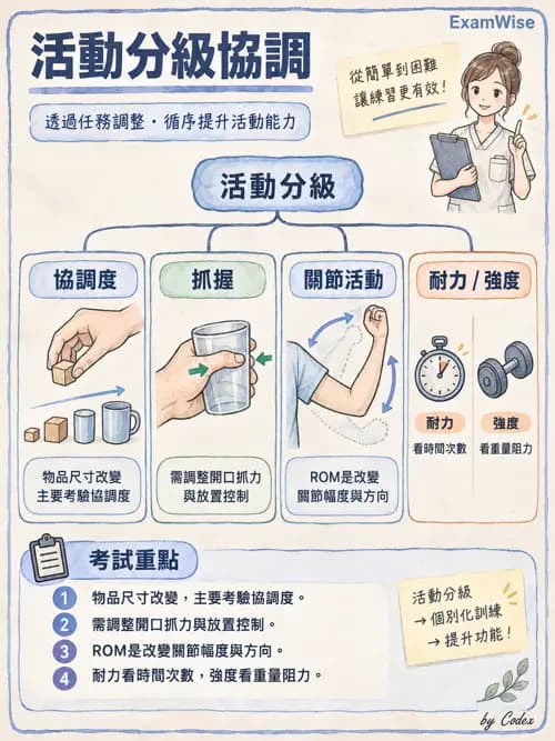 職治 - 活動分級與調適 - AI 圖文解析預覽