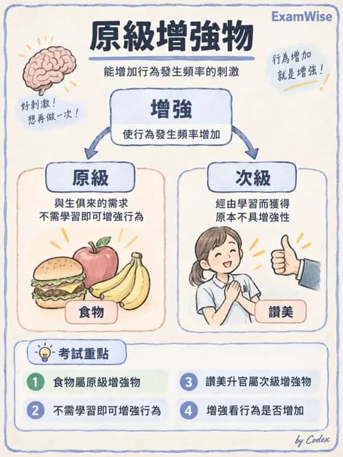 職治 - 參考架構、理論與臨床推理 - AI 圖文解析預覽