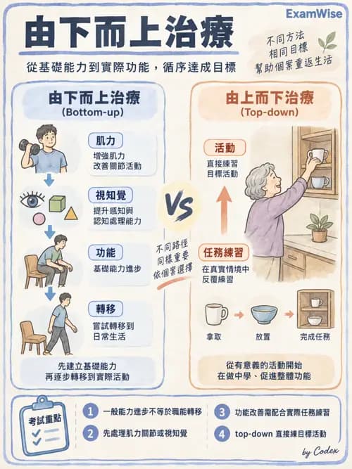 職治 - OTPF實務架構與ICF - AI 圖文解析預覽