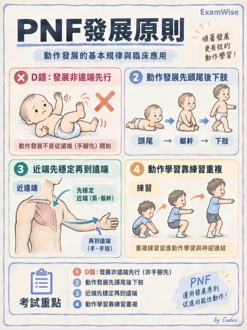 職治 - 神經動作與認知治療技術 - AI 圖文解析預覽