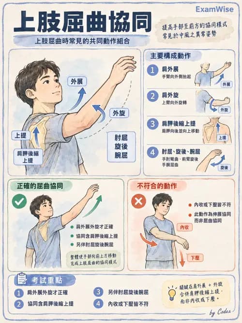 職治 - 神經動作與認知治療技術 - AI 圖文解析預覽