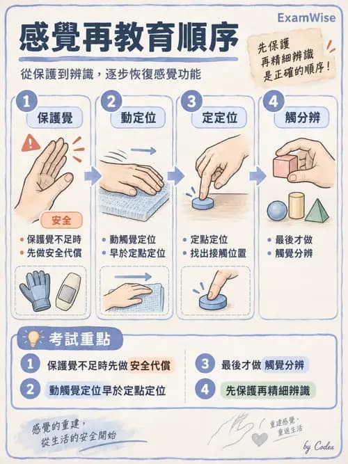 職治 - 神經動作與認知治療技術 - AI 圖文解析預覽