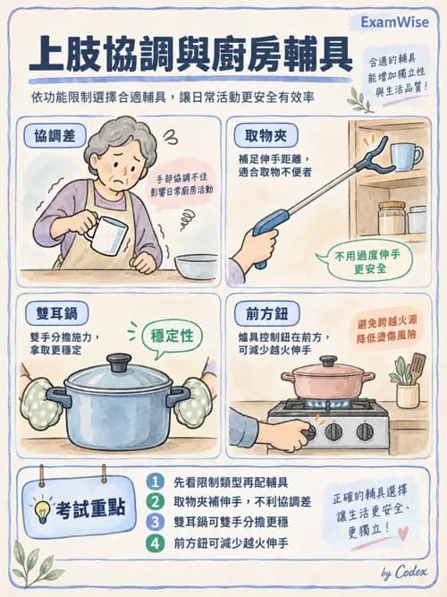 職治 - 輔具、副木與能量節省 - AI 圖文解析預覽