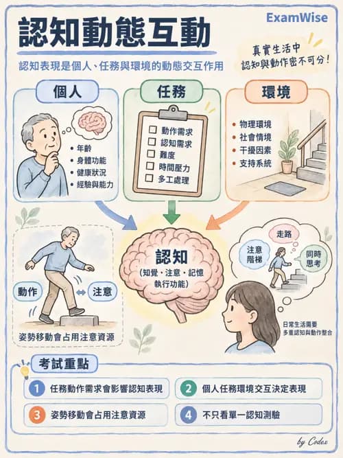 職治 - 神經動作與認知治療技術 - AI 圖文解析預覽