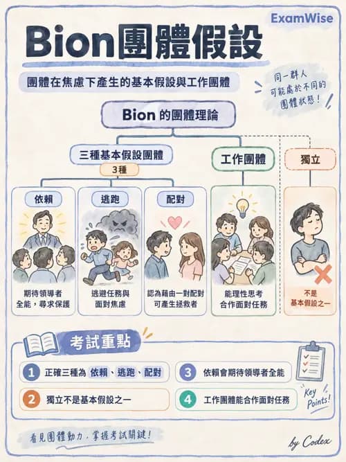 職治 - 團體發展與領導 - AI 圖文解析預覽