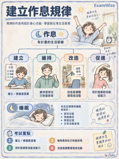 職治 - OTPF實務架構與ICF - AI 圖文解析預覽