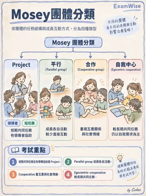 職治 - 團體類型與治療關係 - AI 圖文解析預覽