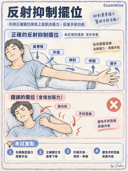 職治 - 神經動作與認知治療技術 - AI 圖文解析預覽