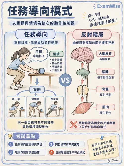 職治 - 神經動作與認知治療技術 - AI 圖文解析預覽