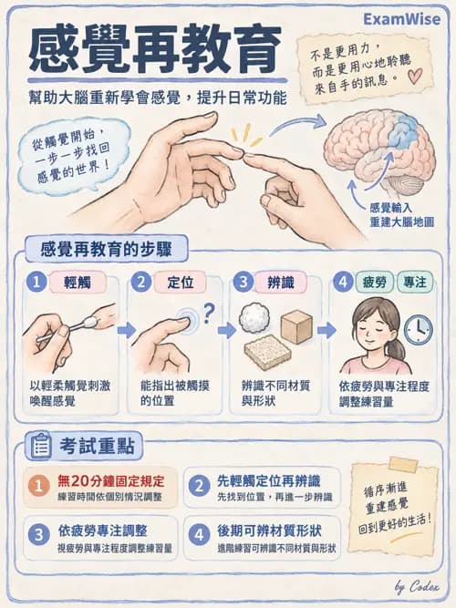 職治 - 神經動作與認知治療技術 - AI 圖文解析預覽