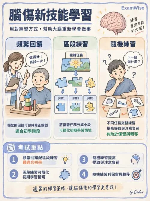 職治 - 神經動作與認知治療技術 - AI 圖文解析預覽