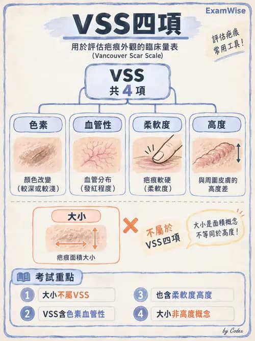 職治 - 評估方法與測量 - AI 圖文解析預覽