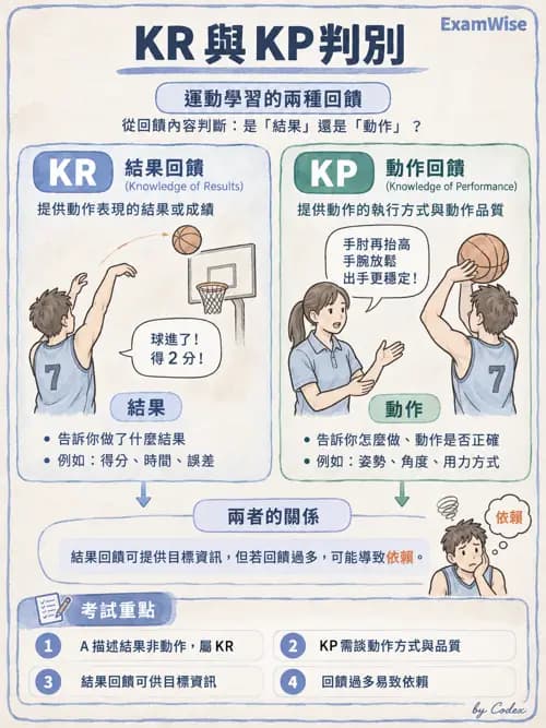 職治 - 神經動作與認知治療技術 - AI 圖文解析預覽