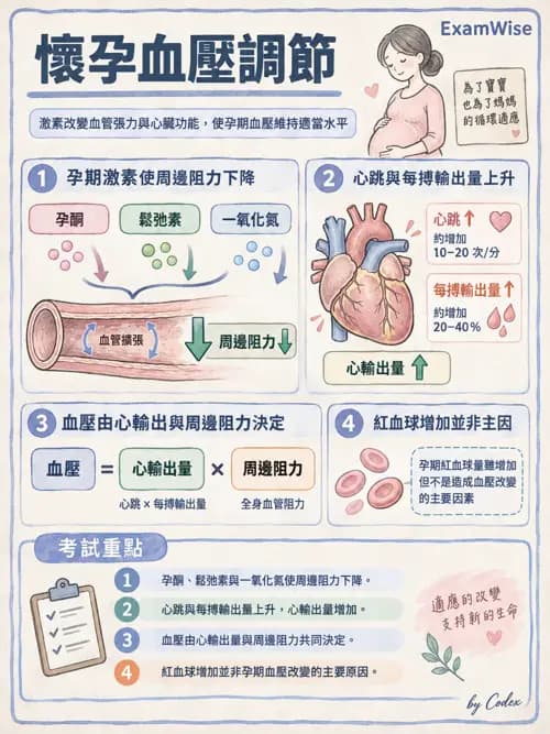 職治 - 心血管、血液與免疫生理 - AI 圖文解析預覽
