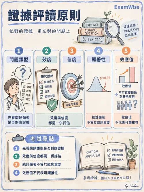 職治 - 實證職能治療 - AI 圖文解析預覽