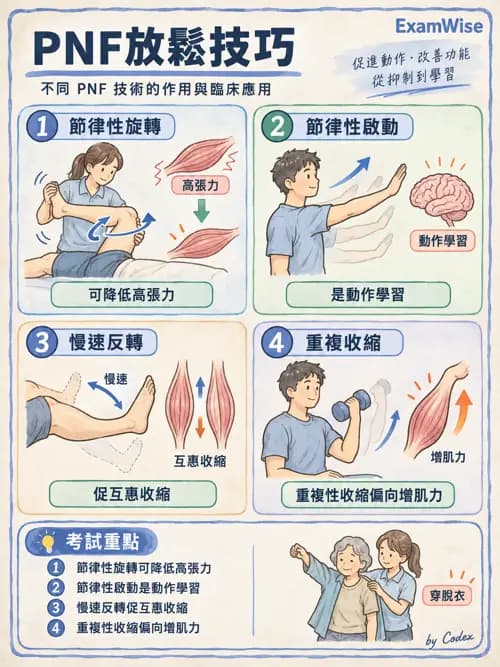 職治 - 神經動作治療理論 - AI 圖文解析預覽