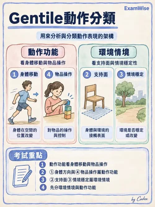 職治 - 神經動作治療理論 - AI 圖文解析預覽