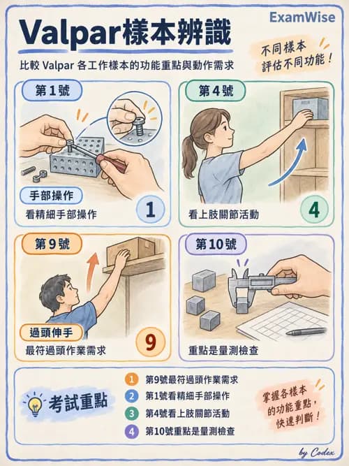 職治 - 工作、休閒與社區參與 - AI 圖文解析預覽