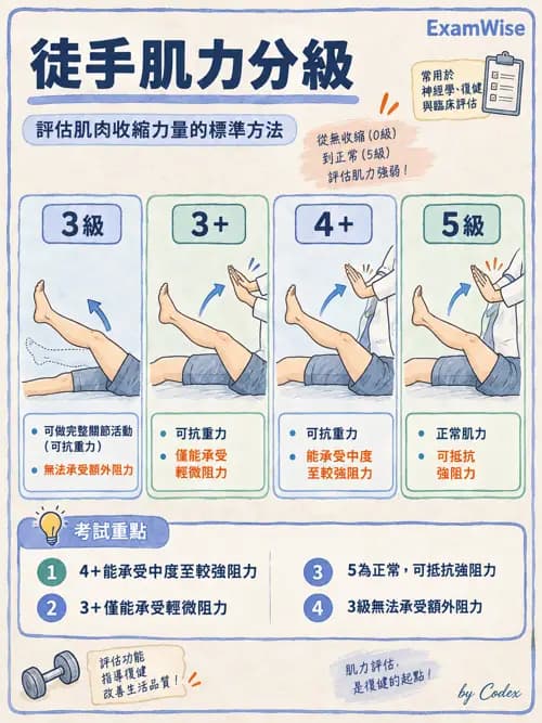 職治 - 動作功能與生物力學 - AI 圖文解析預覽