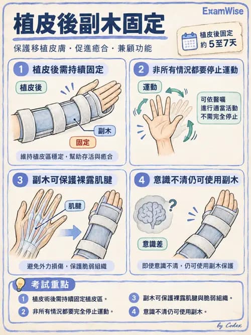 職治 - 心肺疾病、燒燙傷與癌症 - AI 圖文解析預覽