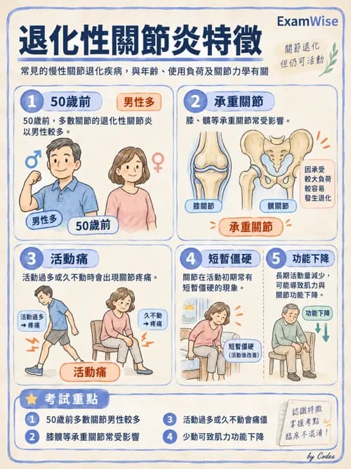 職治 - 骨科與風濕疾病 - AI 圖文解析預覽