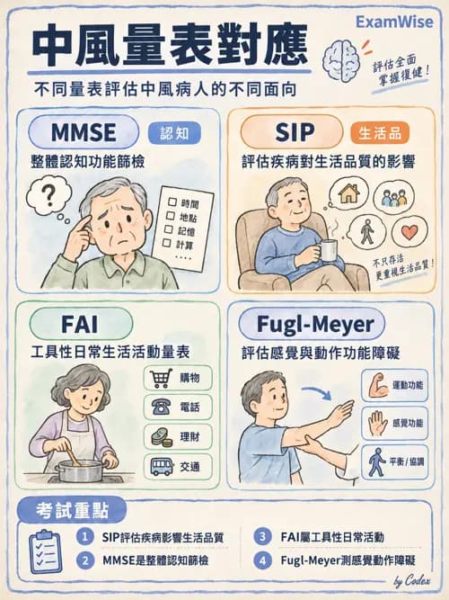 職治 - 腦中風與腦外傷 - AI 圖文解析預覽