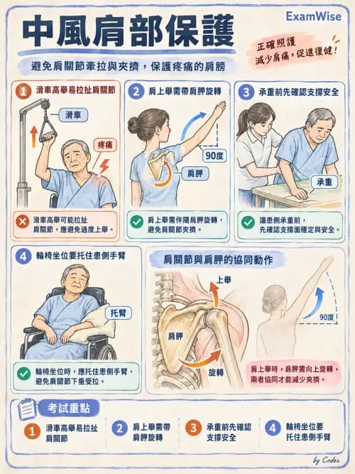 職治 - 腦中風與腦外傷 - AI 圖文解析預覽