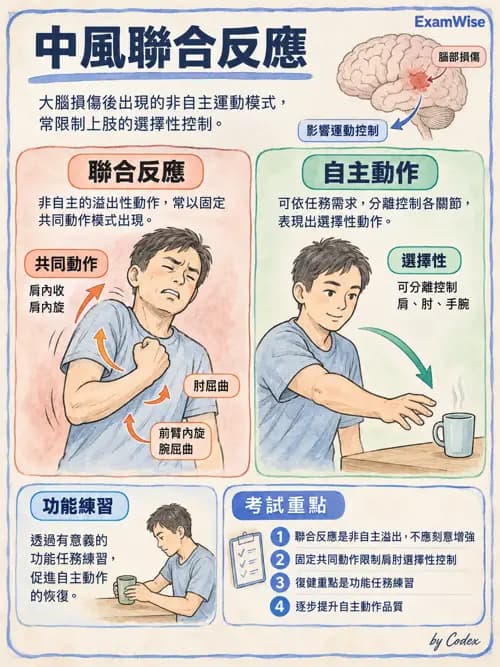 職治 - 神經動作治療理論 - AI 圖文解析預覽