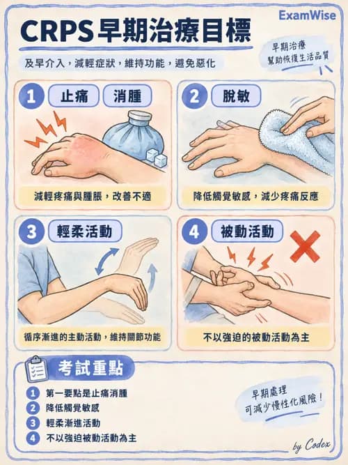 職治 - 手部與周邊神經損傷 - AI 圖文解析預覽