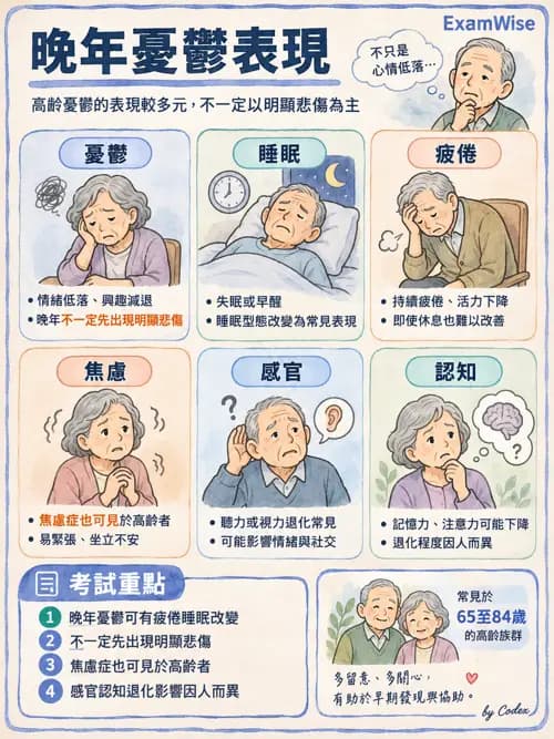 職治 - 健康促進、老化與醫療安全 - AI 圖文解析預覽
