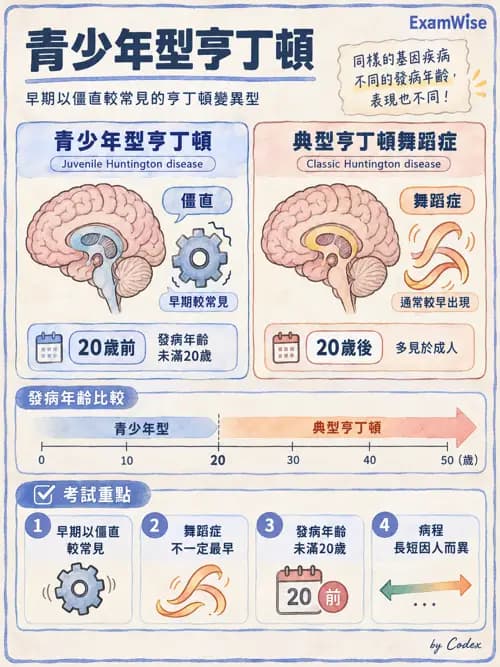 職治 - 神經退化與神經肌肉疾病 - AI 圖文解析預覽