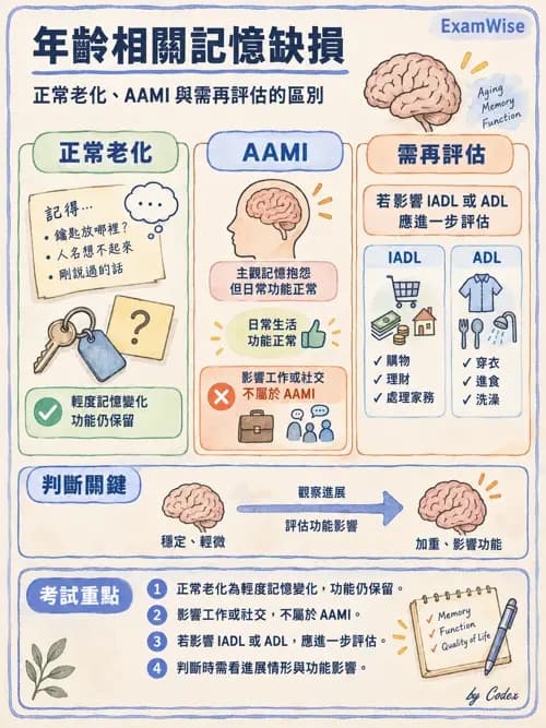 職治 - 健康促進、老化與醫療安全 - AI 圖文解析預覽