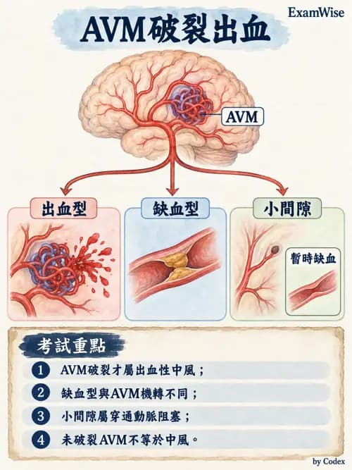 職治 - 腦中風與腦外傷 - AI 圖文解析預覽