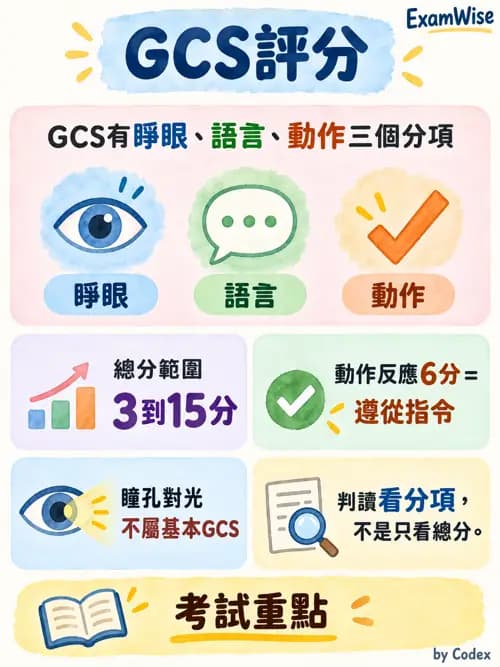 職治 - 腦中風與腦外傷 - AI 圖文解析預覽