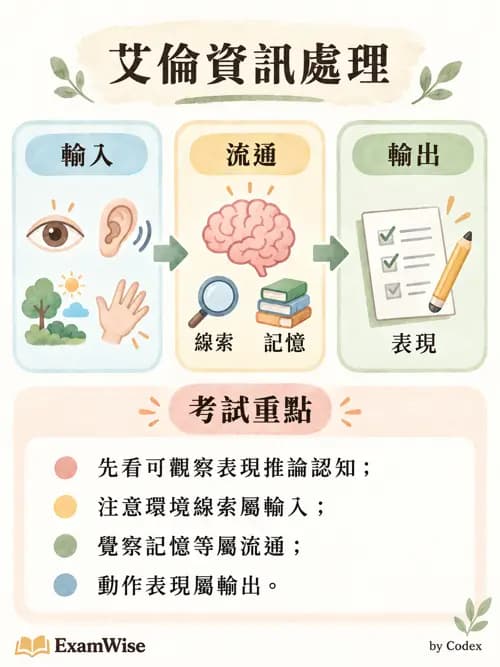 職治 - 認知取向與認知障礙模式 - AI 圖文解析預覽