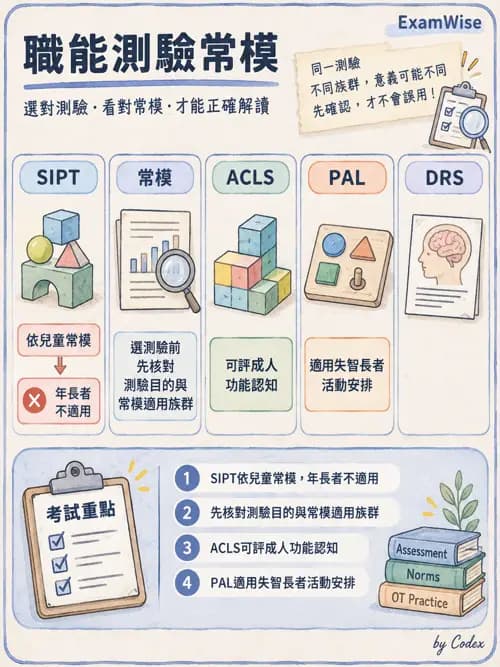 職治 - 老年心理衛生與失智 - AI 圖文解析預覽