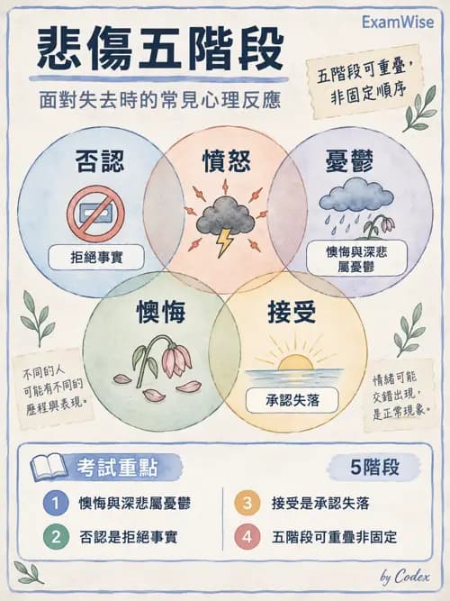 職治 - 心理動力、人本與治療關係 - AI 圖文解析預覽