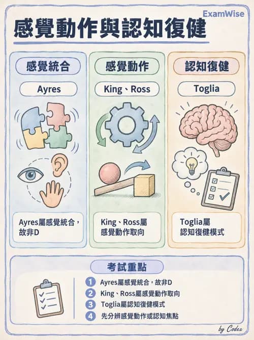 職治 - 壓力、情緒與感覺處理 - AI 圖文解析預覽
