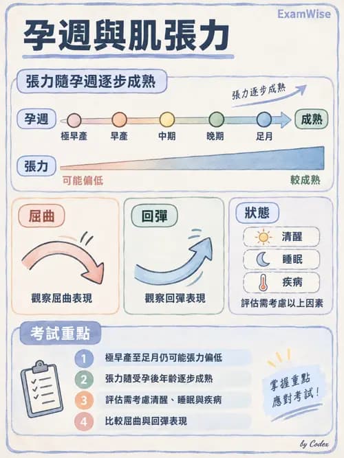 職治 - 醫療與早期療育體系 - AI 圖文解析預覽