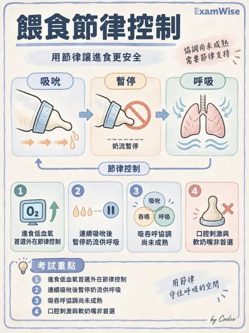 職治 - 進食、口腔動作與吞嚥 - AI 圖文解析預覽