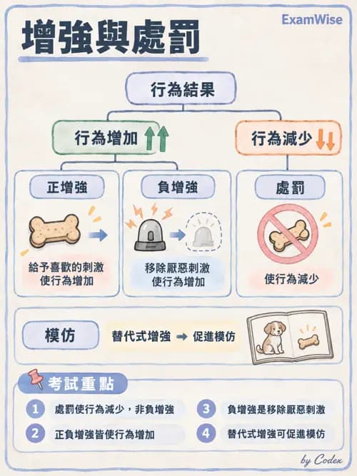 職治 - 學習理論與教練模式 - AI 圖文解析預覽