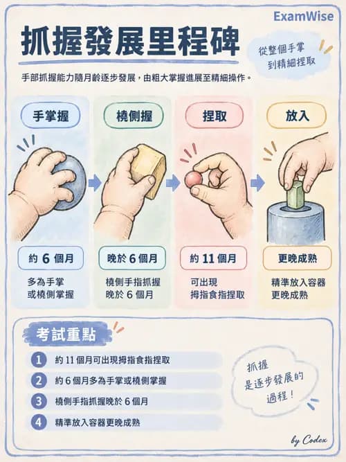 職治 - 動作發展與手功能 - AI 圖文解析預覽