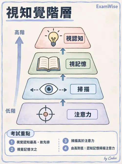 職治 - 視知覺與認知 - AI 圖文解析預覽