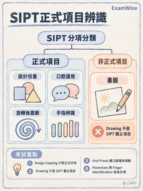 職治 - 感覺統合與感覺處理 - AI 圖文解析預覽