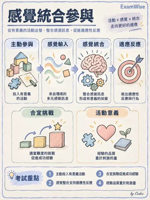 職治 - 感覺統合與感覺處理 - AI 圖文解析預覽