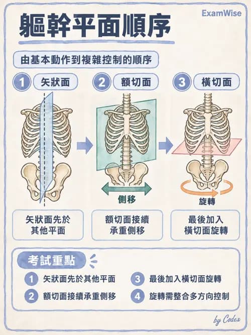 職治 - 動作發展與手功能 - AI 圖文解析預覽