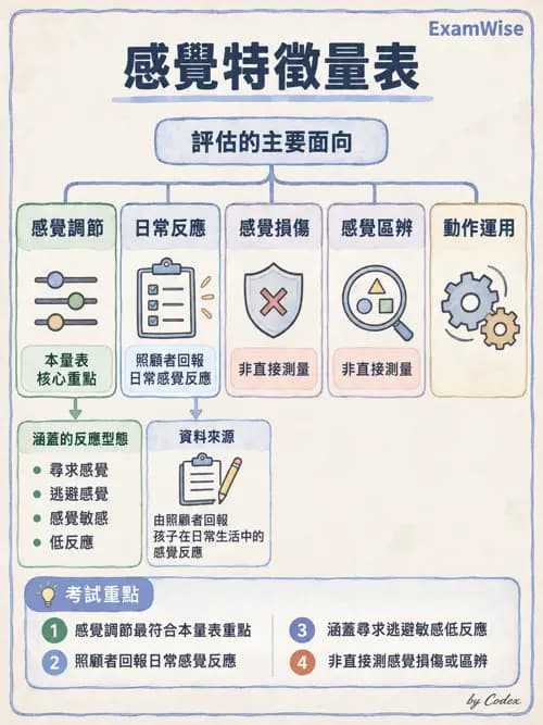 職治 - 感覺統合與感覺處理 - AI 圖文解析預覽