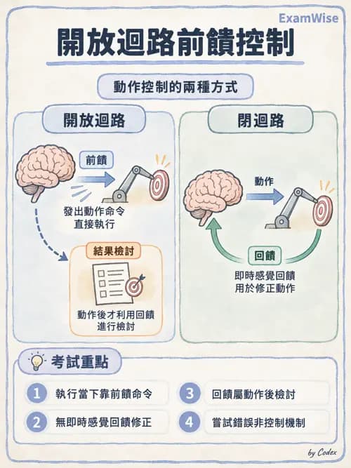職治 - 動作相關參考架構 - AI 圖文解析預覽